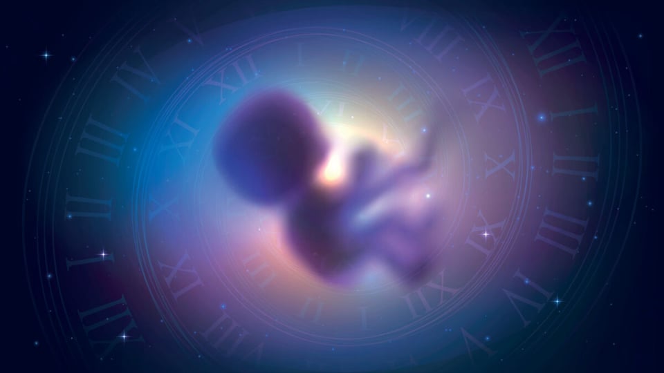 Silueta de bebé humano o extraterrestre en túnel de tiempo
