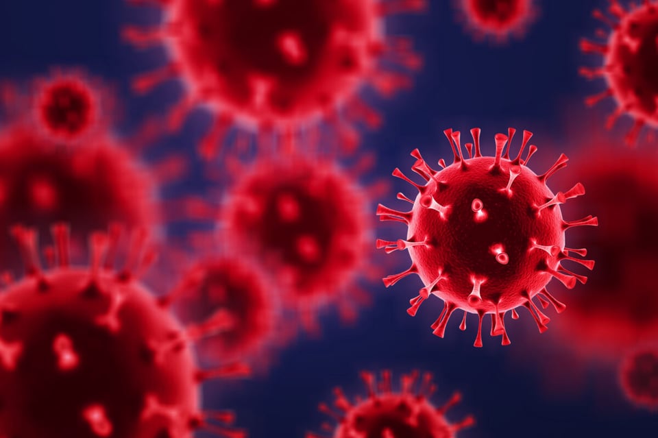 Viruses, Reds, Bacteria, Immune system, Podcast