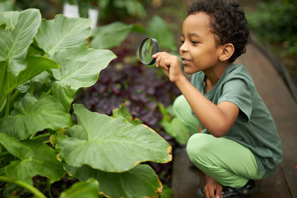Kid looking at plants