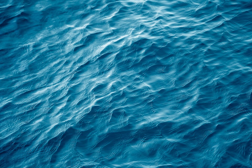 Sea, Water, Family, MundoNow, Podcast