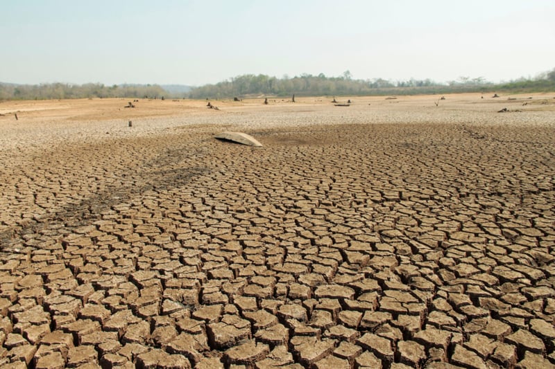 Drought, Desert, Harvest, MundoNow, Podcast