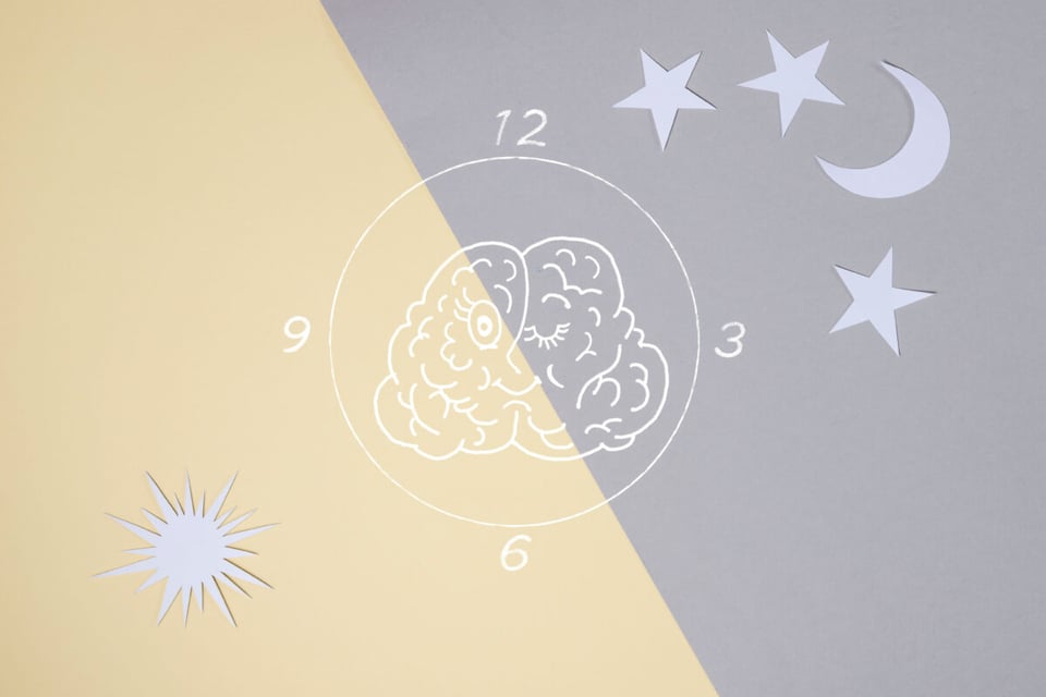 Brain, Clock, Circadian, Stars, MundoNow
