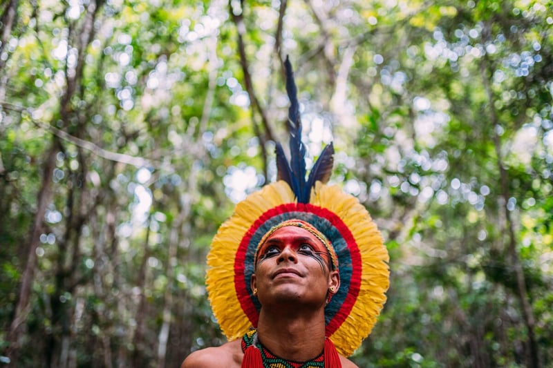 Trees, Indigenous, Suit, Pipes, Podcast