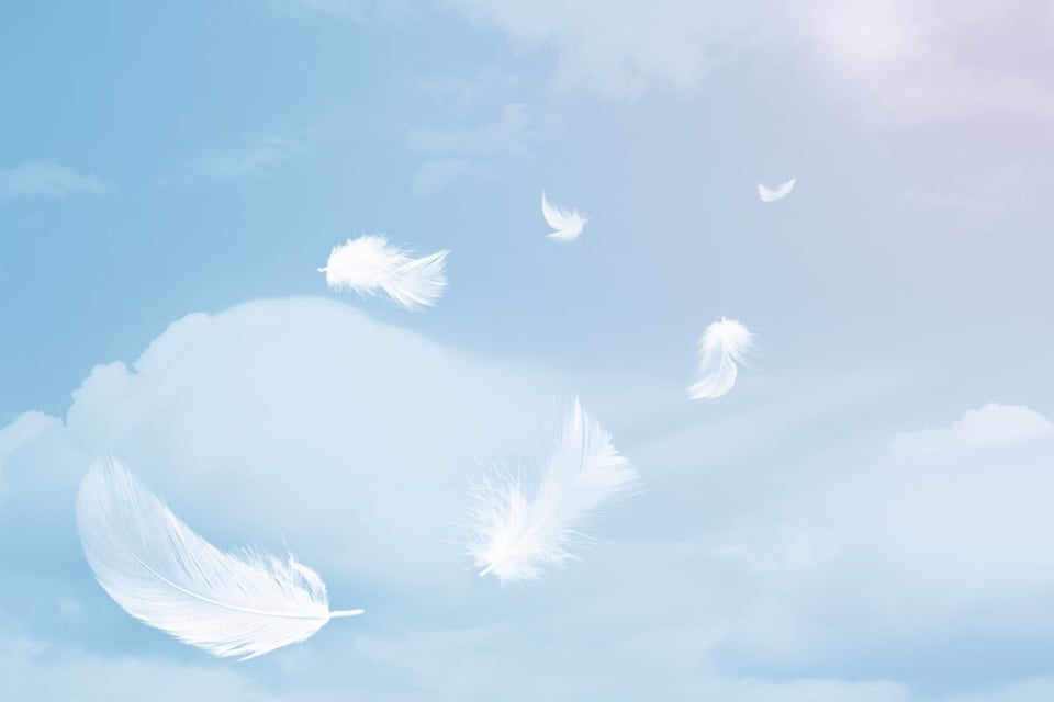 Heaven, Sky, Feather, MundoNow, Angels