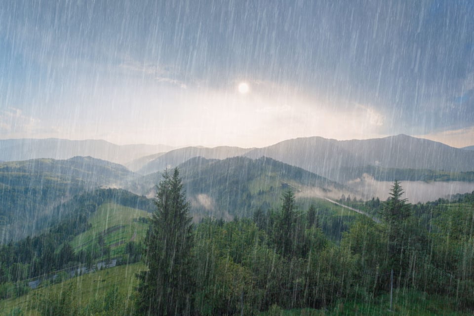 Rain, Dance, Frog and Lobster, MundoNow, Podcast
