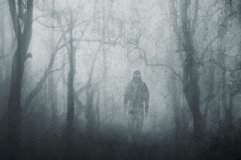 Silueta de extraterrestre en bosque con neblina
