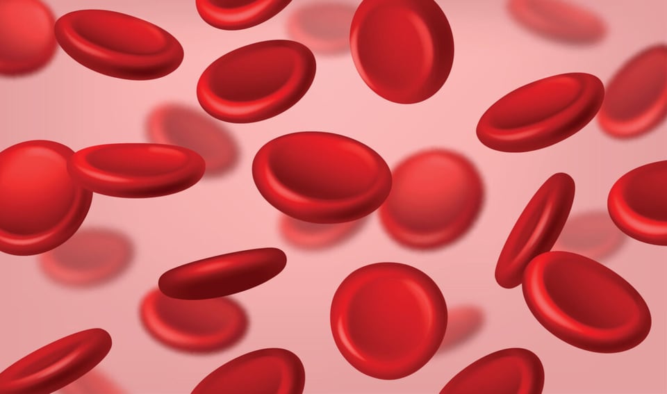 Red blood cells, Blood, Torrente, MundoNow, Podcast