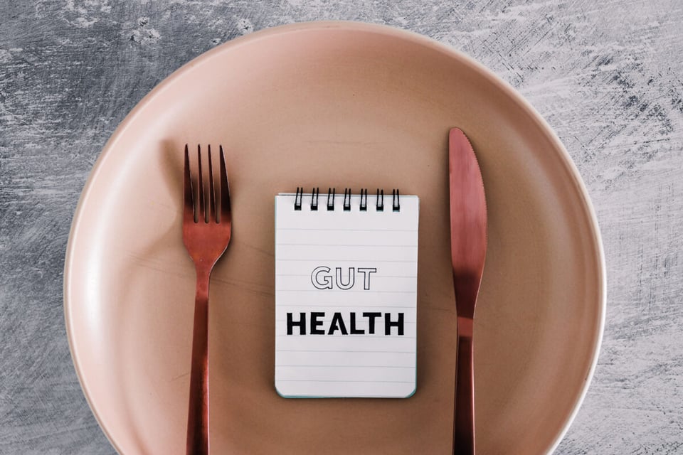 Plate of food, Cutlery, Notebook, Microbiota, Podcast