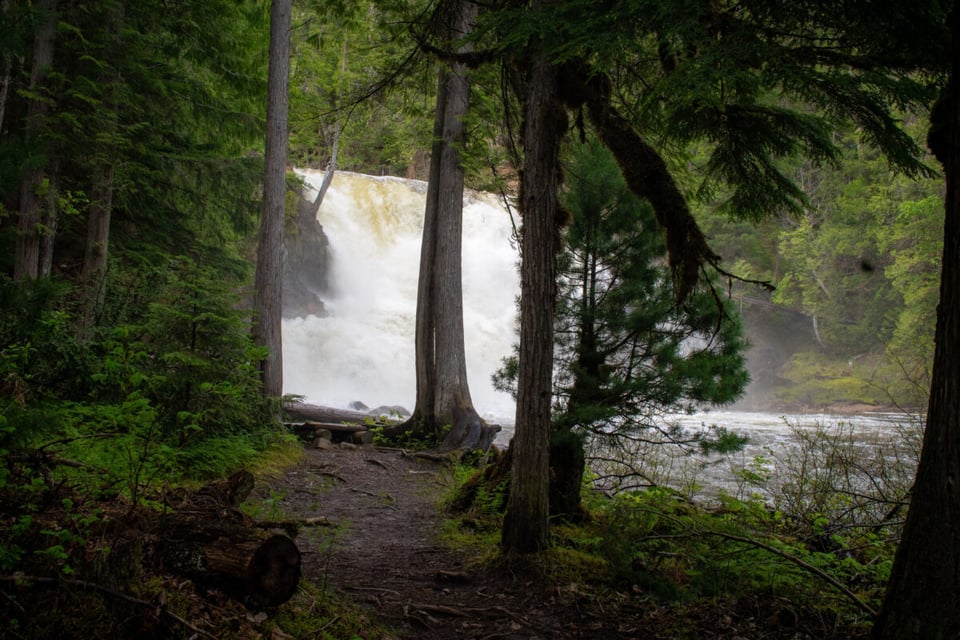 Shuswap, Forest, Water, MundoNow, Podcast