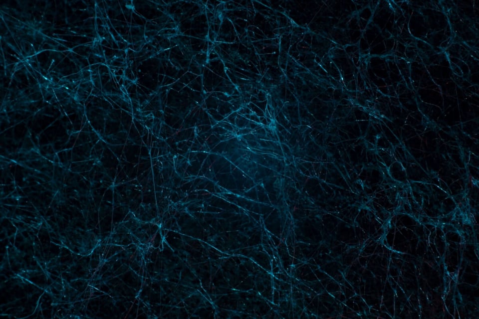 Neurons, Patterns, Connections, MundoNow, Podcast
