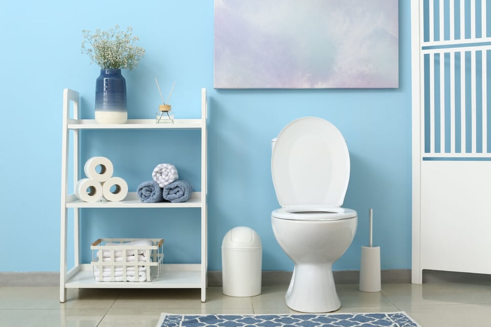 Toilet, Bathroom, Roll of paper, MundoNow, Podcast