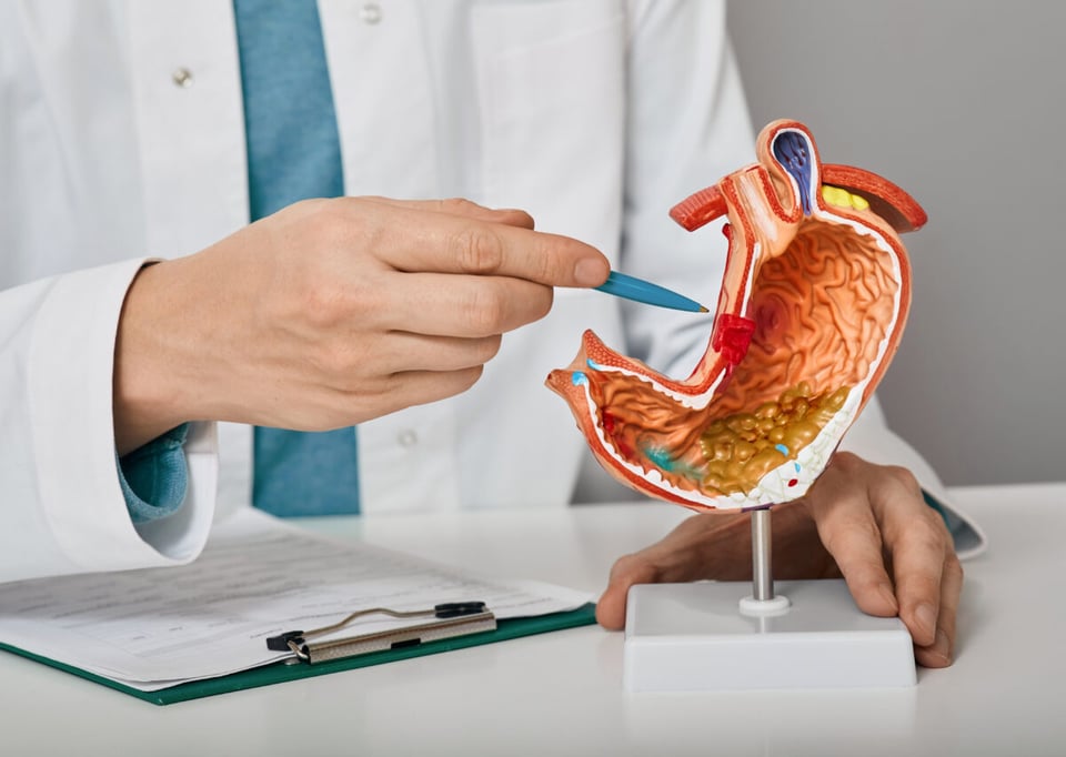 Medical, Anatomy, Consultation, Brain and glucose, Podcast