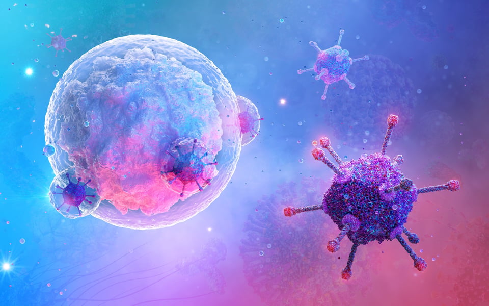 Profe Claudio Nieto: The immune system