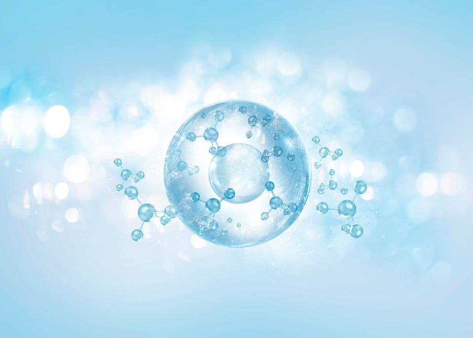 Homeostasis, Alostasis, Salud, MundoNow, Podcast