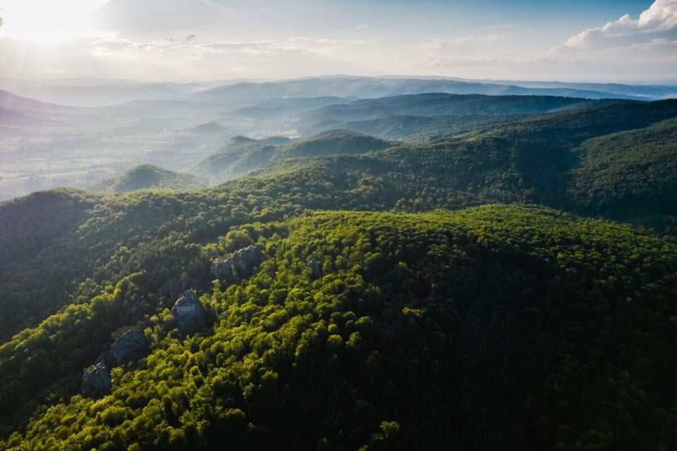 Paisaje, Cielo, Bosque, MundoNow, Podcast