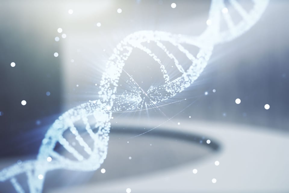 DNA of a women