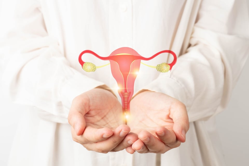 Alivia el dolor: remedios naturales para calmar los cólicos menstruales featured image
