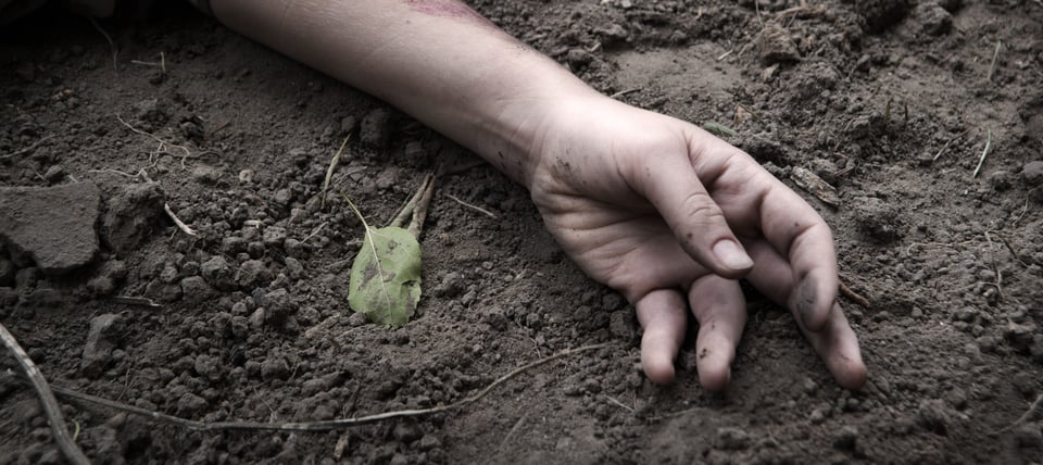 The Discovery of a Femicide on Day of the Dead – The Case of Ariadna Fernanda