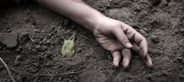 El descubrimiento de un feminicidio en Día de Muertos – El caso de Ariadna Fernanda