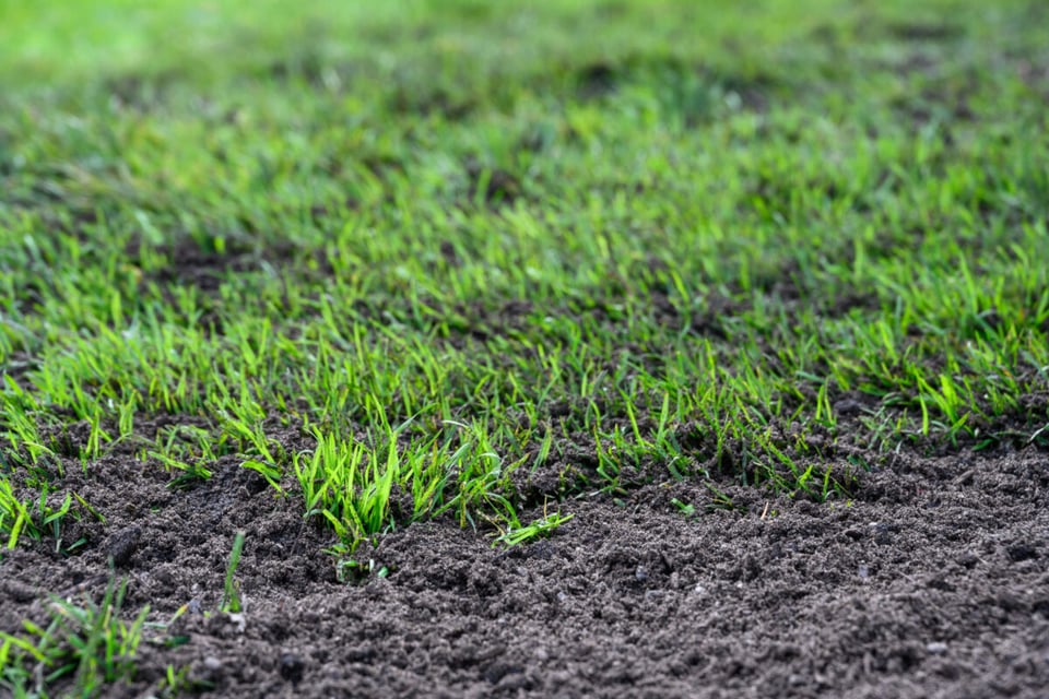 Tierra, Terreno, Limpieza, MundoNow, Podcast