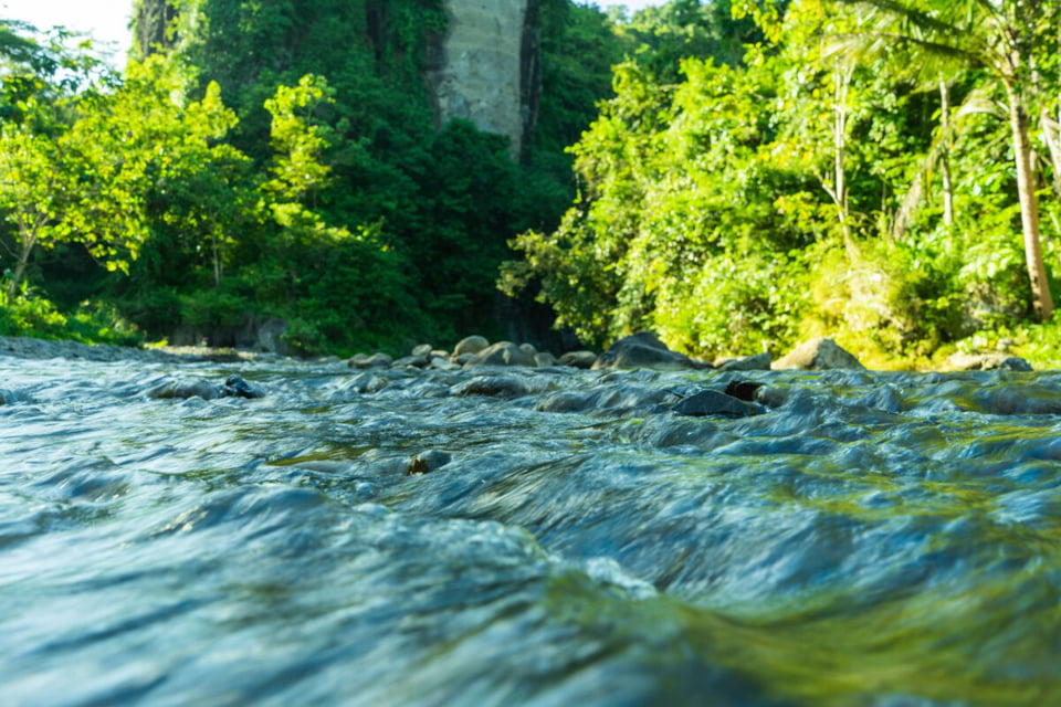 River, Forest, Jungle, MundoNow, Podcast
