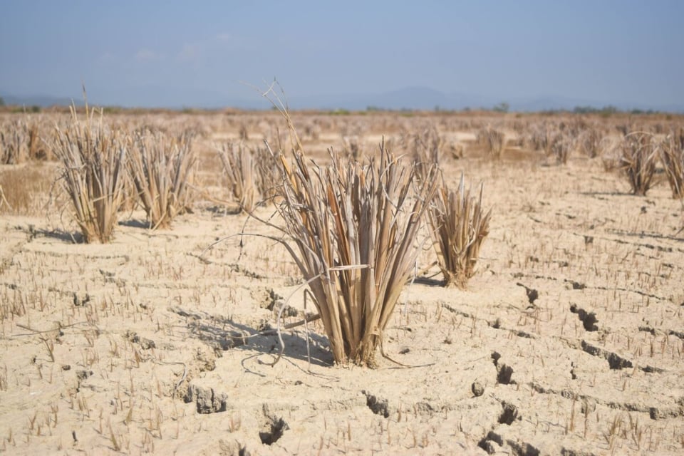 Earth, Drought, Desert, MundoNow, Podcast
