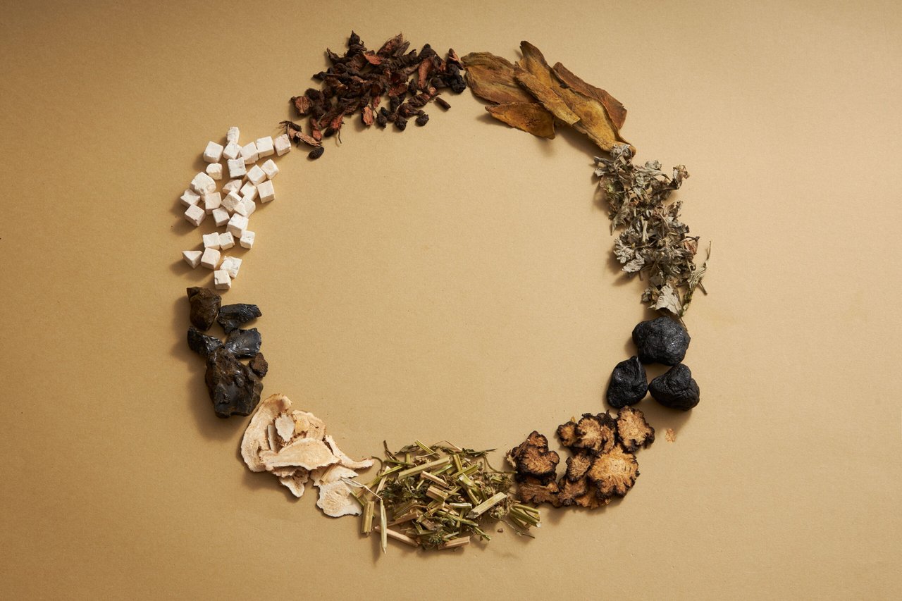 Origen de medicina indios, Séneca, Tribu, MundoNow, Podcast