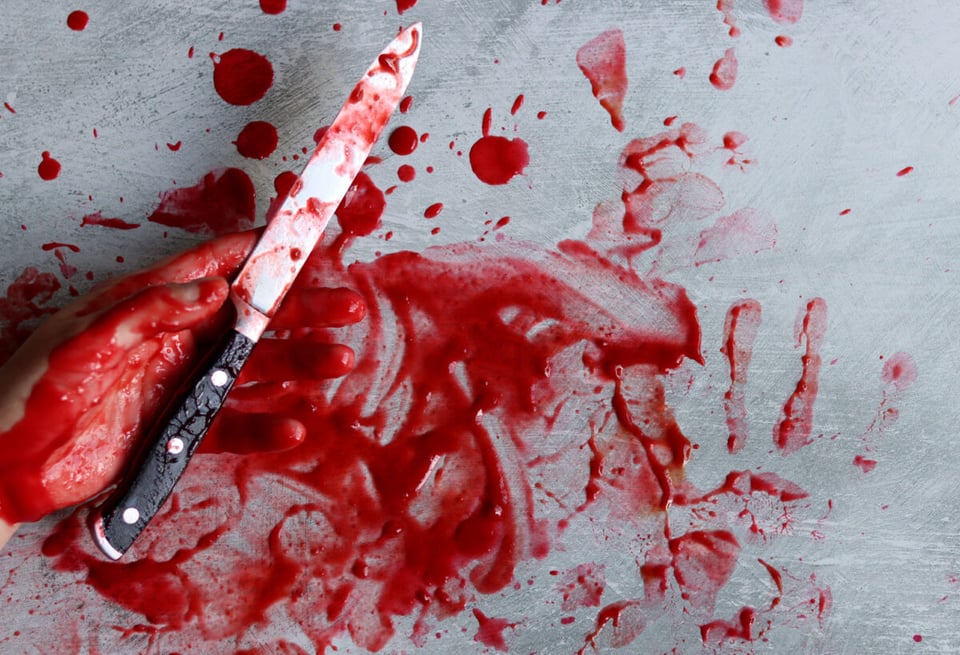 Cuchillo en mano con sangre como idea de arma en el asesinato de Travis Alexander