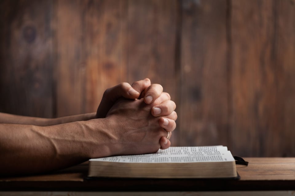 Hands, Book, Pray, MundoNow, Werewolf