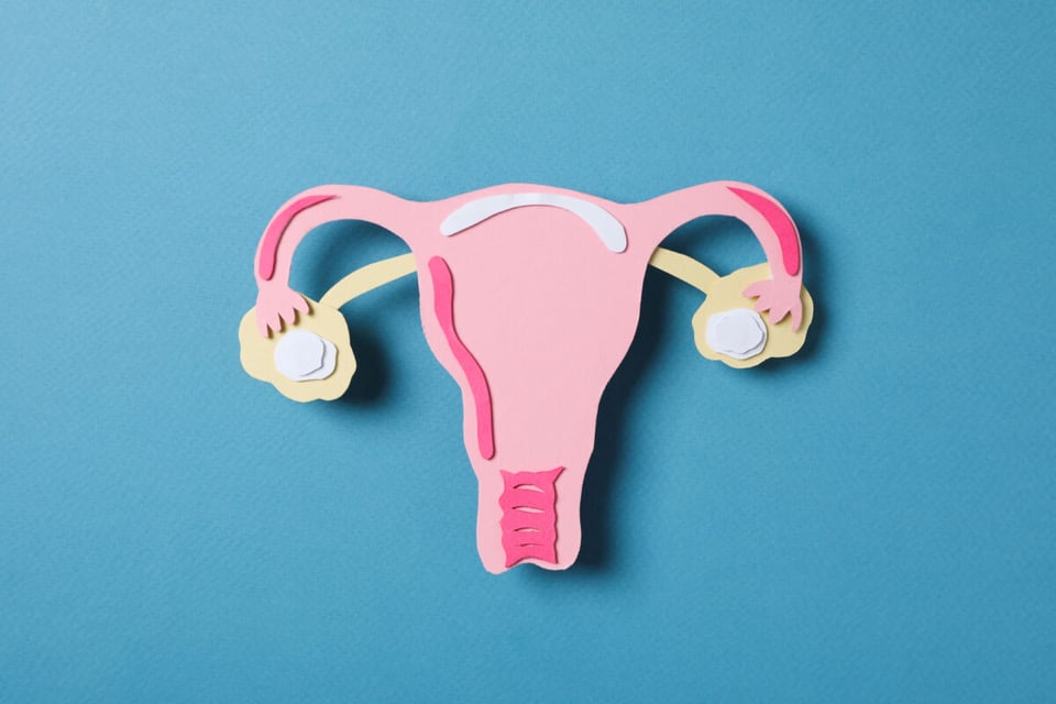 Ovarios, Aparato reproductor femenino, MundoNow, Podcast