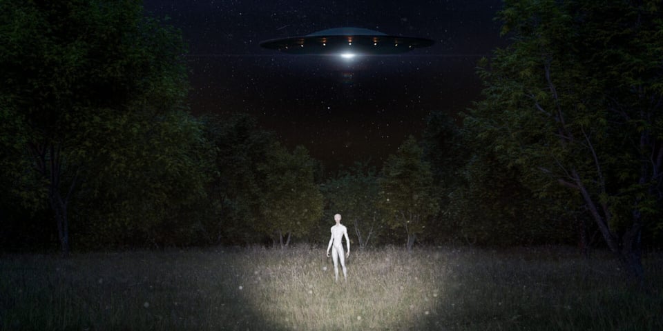 Un extraterrestre y OVNI en un bosque