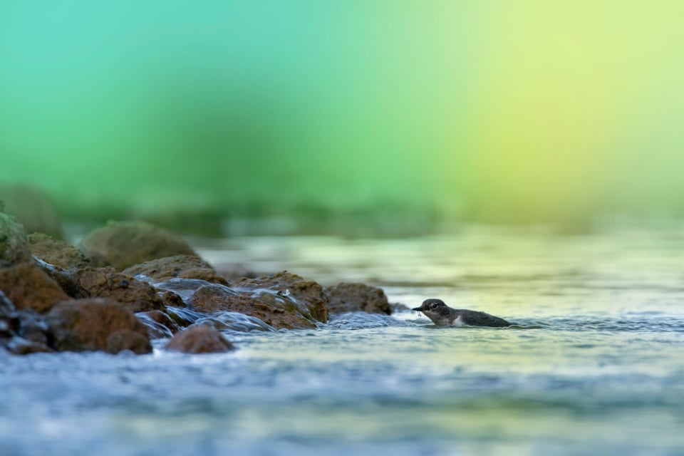 Rocas, Agua, Lago, MundoNow, Podcast