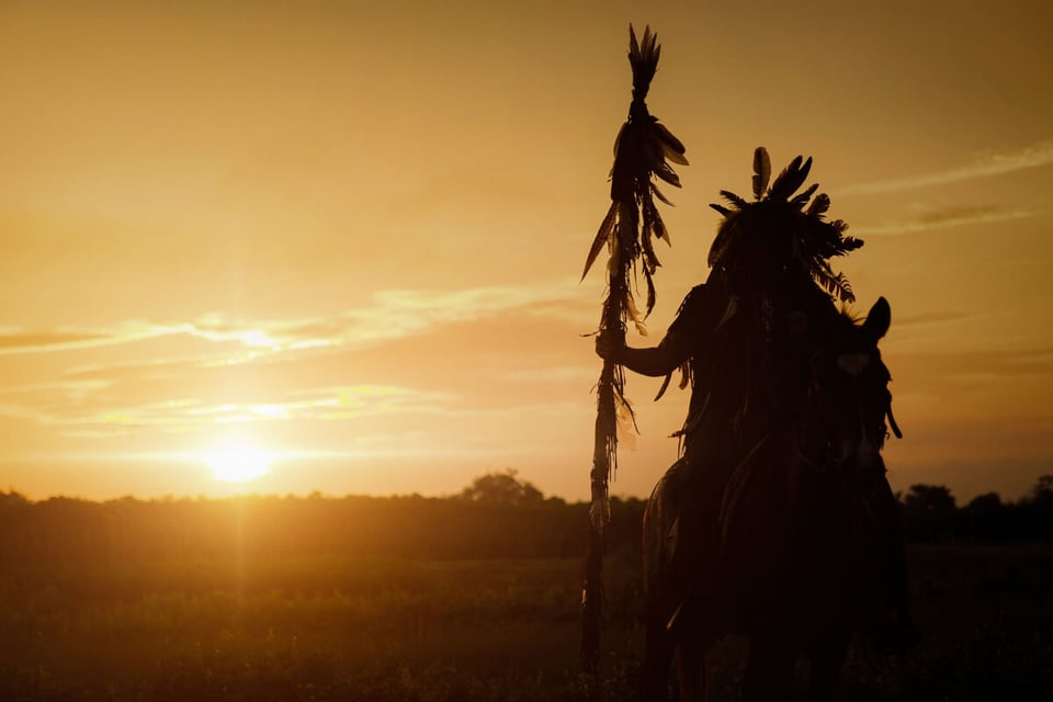 Shaman, Witch, Spell, MundoNow, Common Potoo