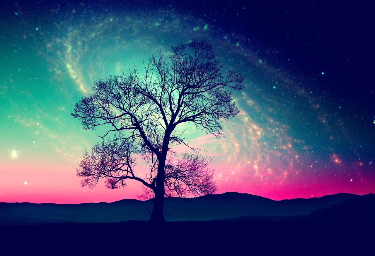 Extraterrestres, Árbol, Galaxia, MundoNow, Podcast