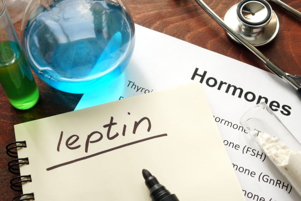 Leptin, Hormones, Insulin, MundoNow, Podcast
