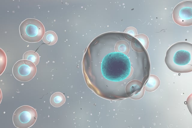 Profe Claudio Nieto: La biogénesis mitocondrial