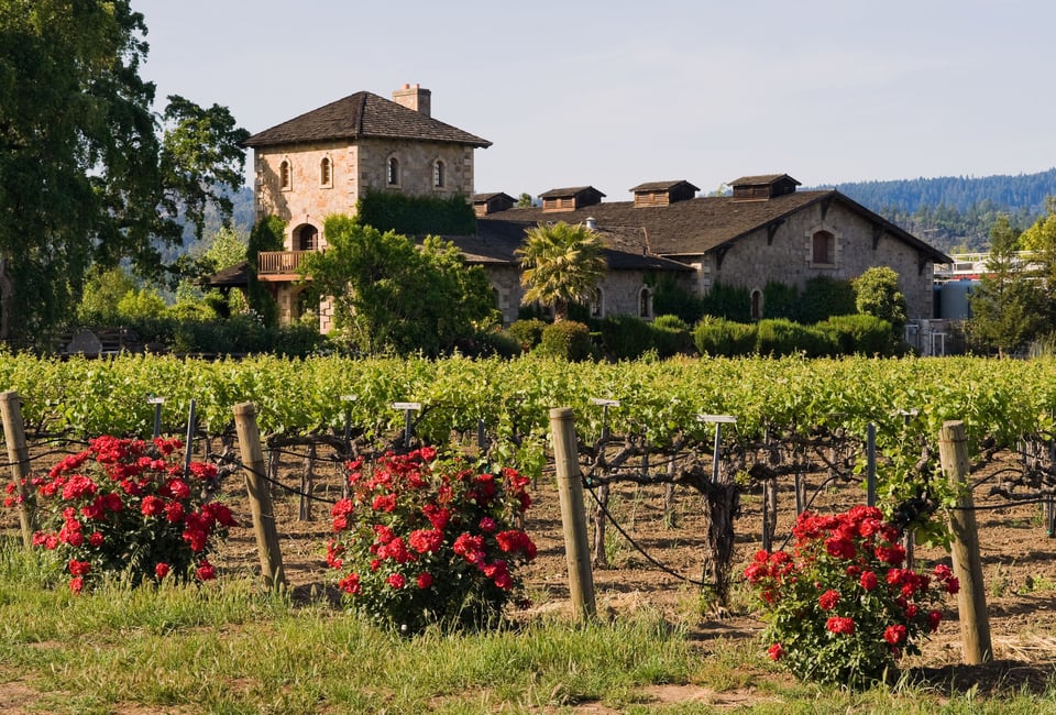 Photo of a rural house for a honeymoon