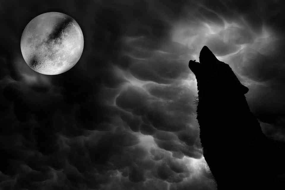 Lobo, Nubes, Blanco y negro, MundoNow, Podcast