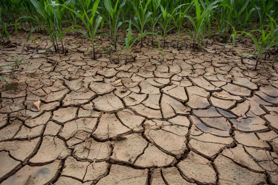 Cambio climático, Calentamiento global, Campo seco, Tecnología geoespacial, MundoNow