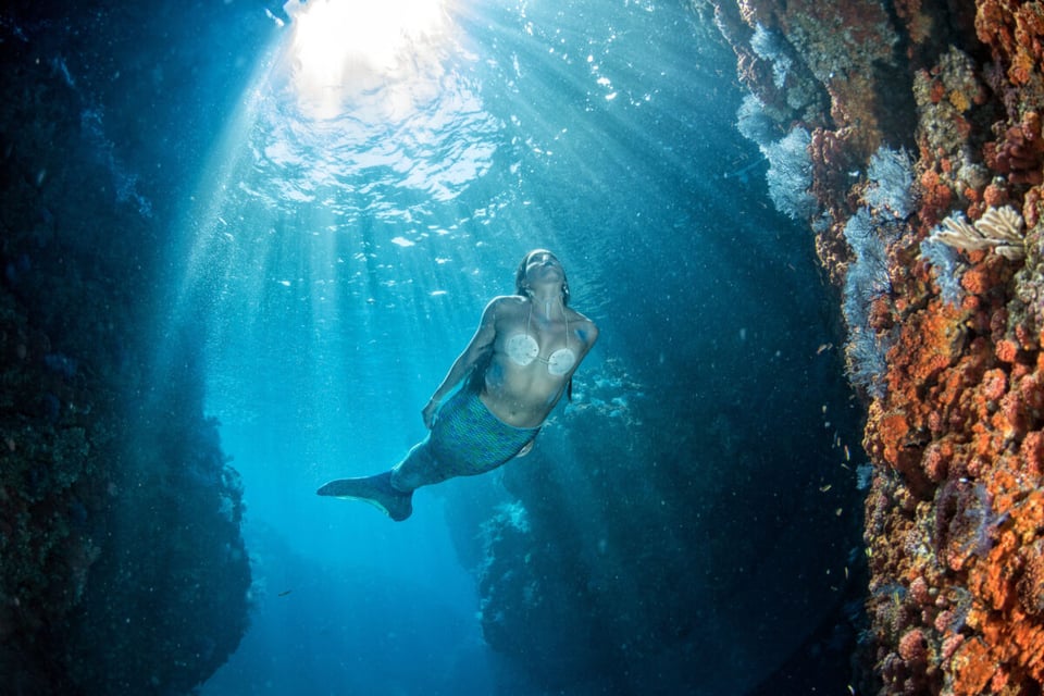 Pincoya, Swim, Abyss, MundoNow, Podcast