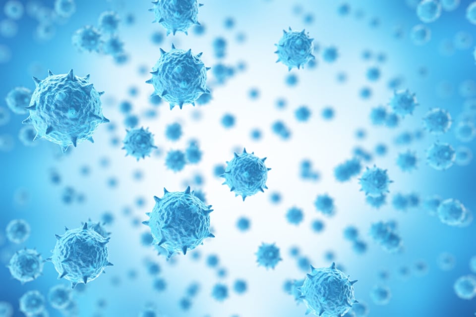 Bacteria, Microbes, Disease, MundoNow, Podcast
