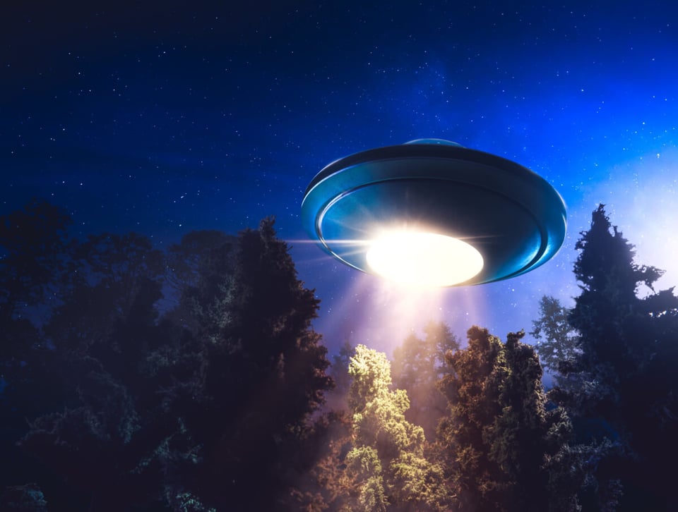 UFO flying over the forest