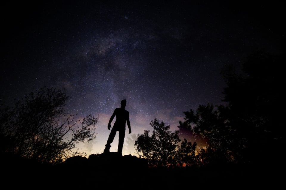 Silueta, Bosque, Extraterrestre, MundoNow, Podcast