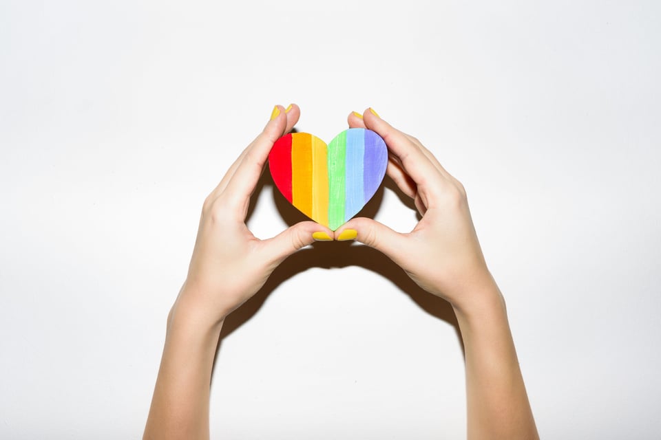 A heart with the gay colors