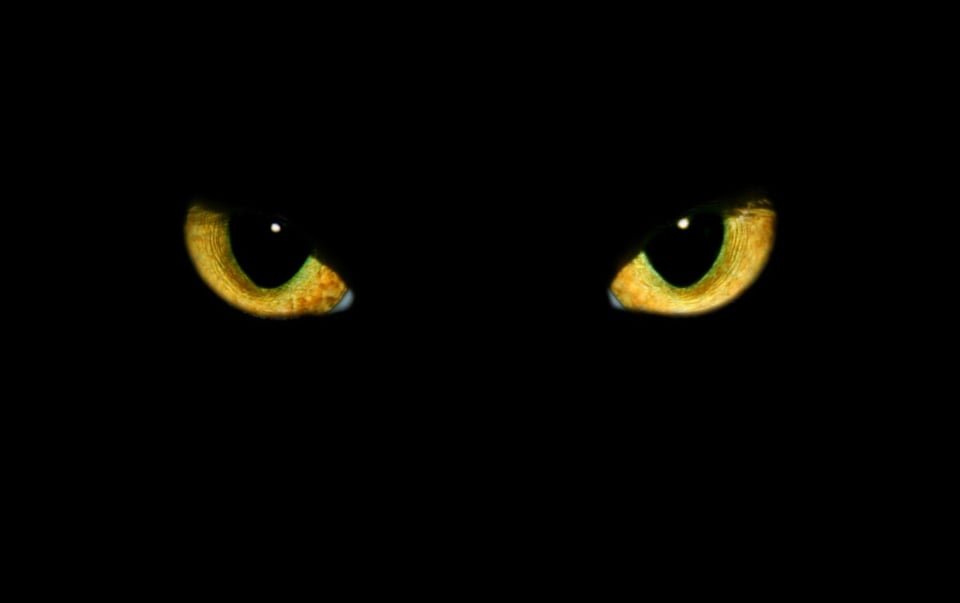 Chupacabra, Eyes, Dark, MundoNow, Podcast