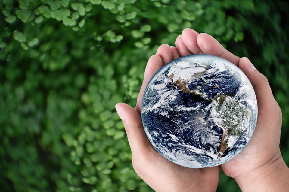 Globe, Matas, Nature, MundoNow, Podcast