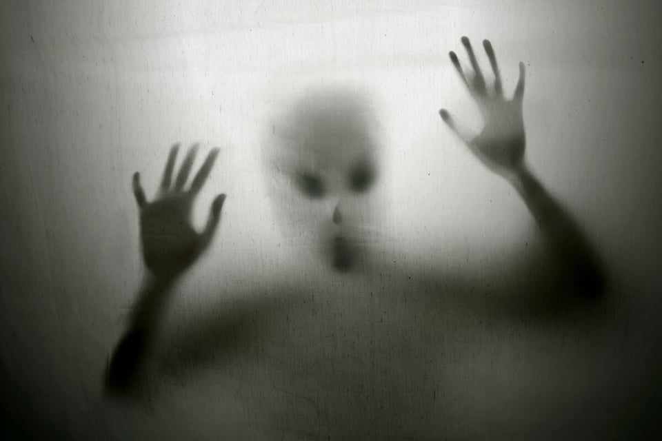 Extraterrestre, Alien, Ademar Gevaerd, MundoNow Huella OVNI