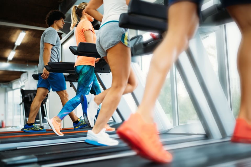 Profe Claudio Nieto: Cardio vs alta intensidad featured image