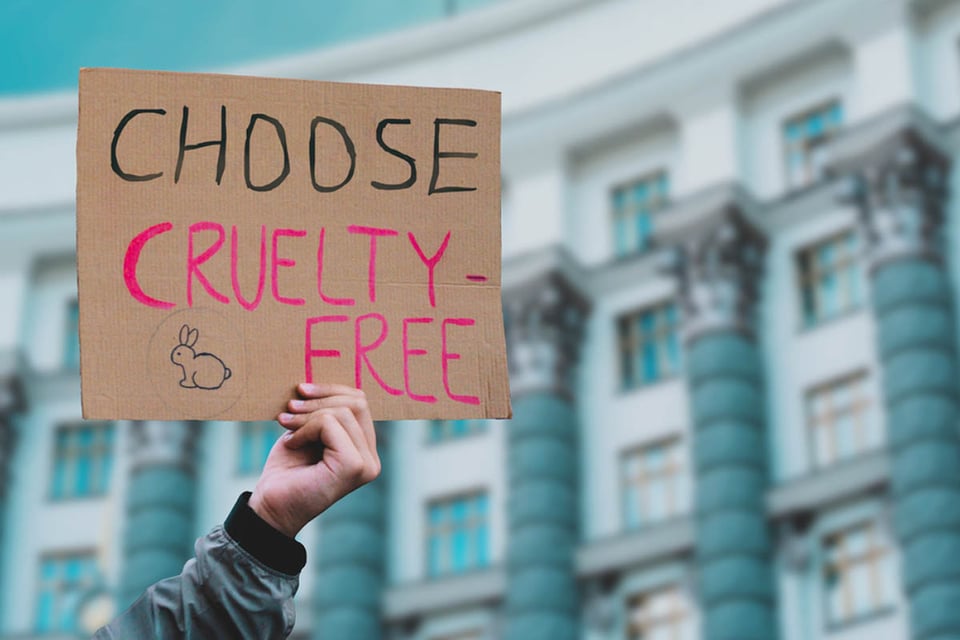 Libre de crueldad, tendencia, letrero, protesta, calle