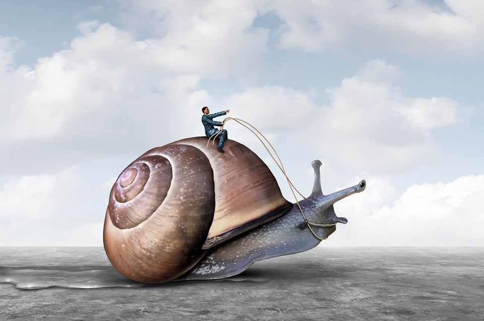 Mucina de caracol para el cuidado de la piel: la ciencia detrás de la baba